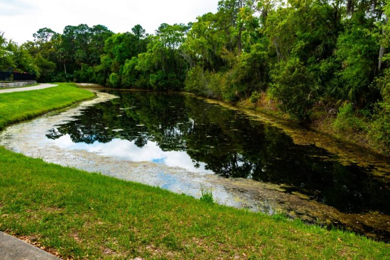 Bassin de rétention d'eau maison écologie et économie — free download