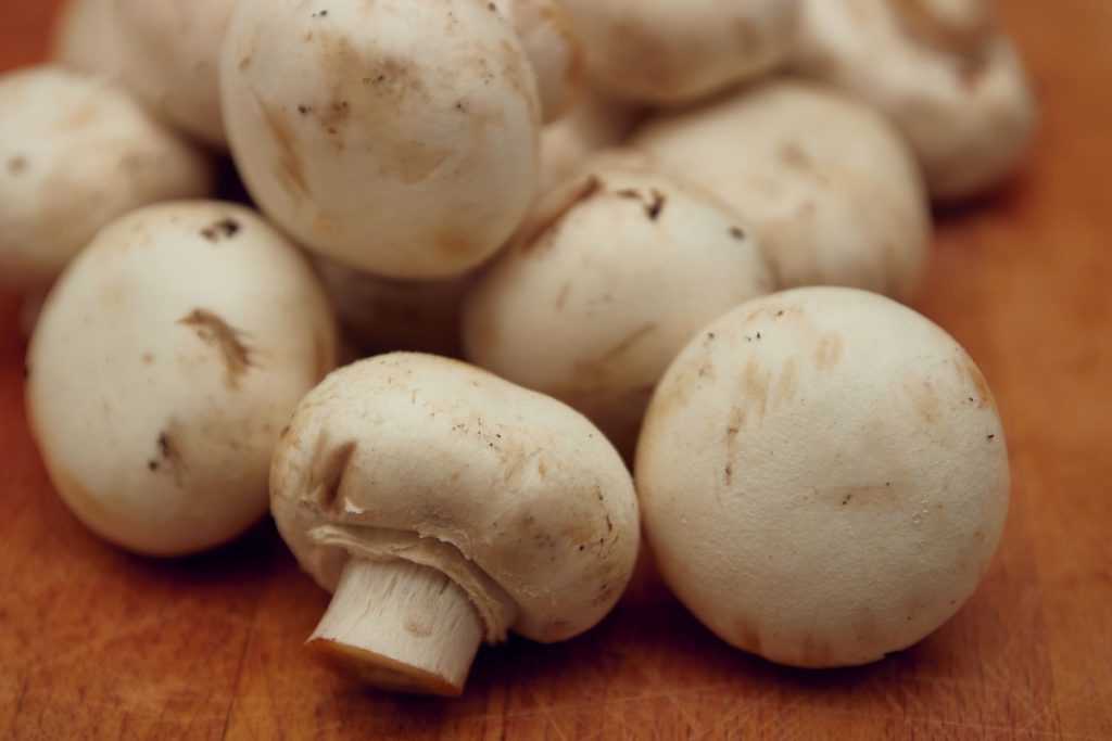 culture champignon de paris