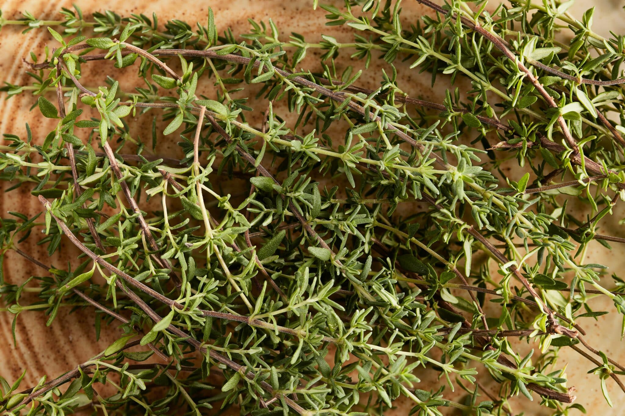 Thym Rampantes Thym rampant : pourquoi et comment en mettre dans son jardin