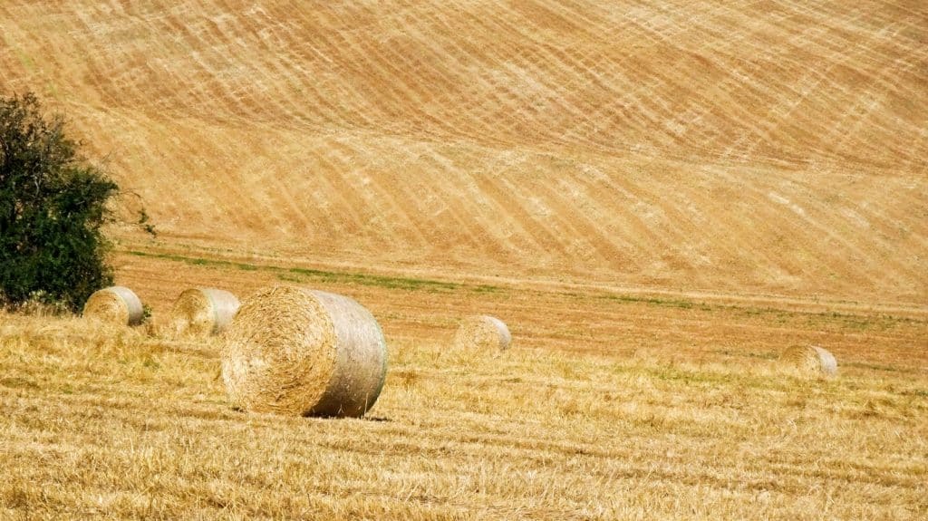 prix de la paille à la tonne