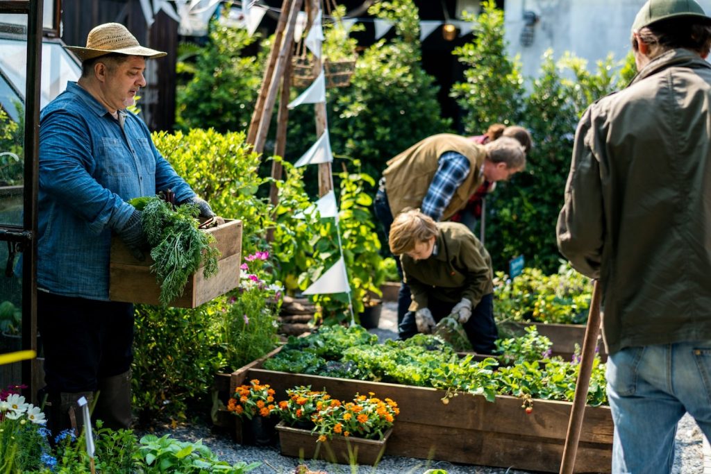 potager carré surélevé