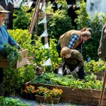 potager carré surélevé