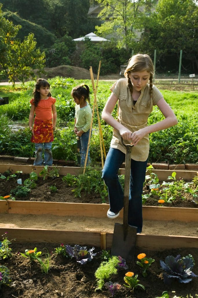 potager carré surélevé