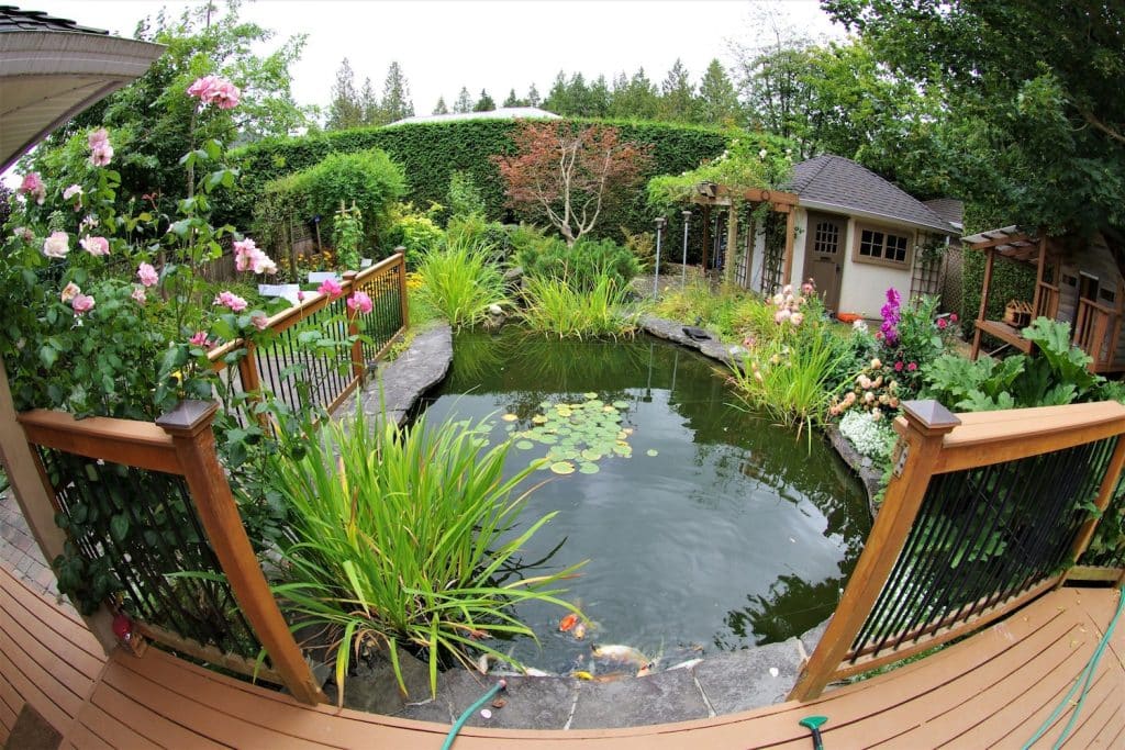 aménagement bassin extérieur