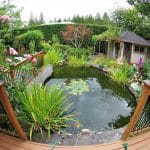 aménagement bassin extérieur