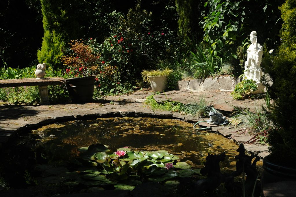 aménagement bassin extérieur
