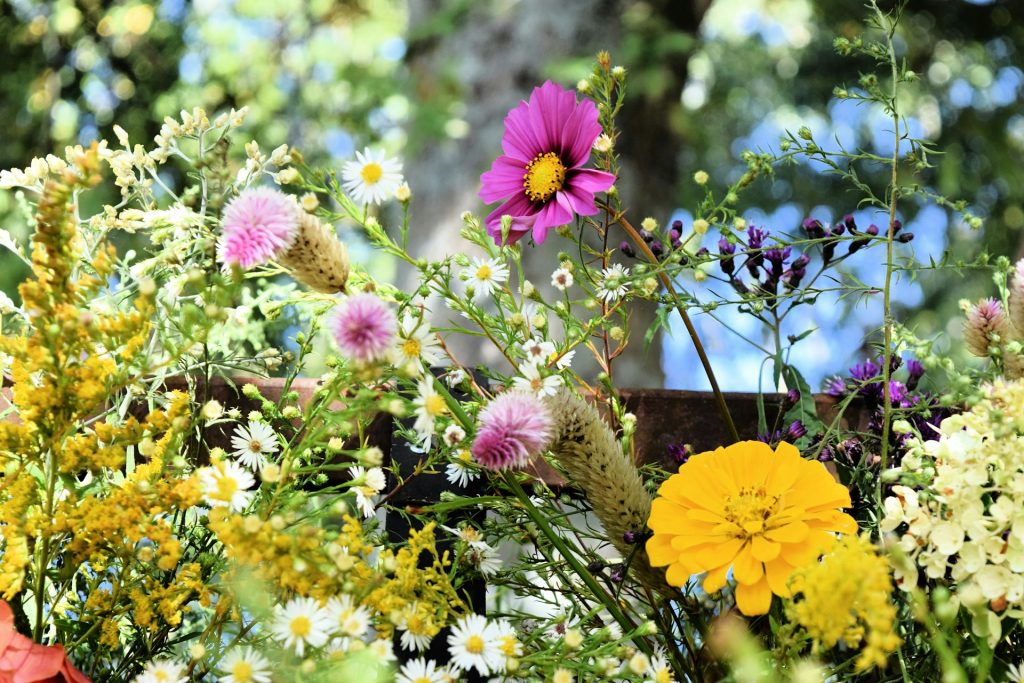 aménager un massif de jardin