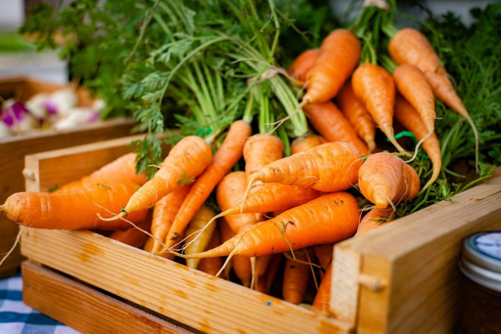 congélation carottes