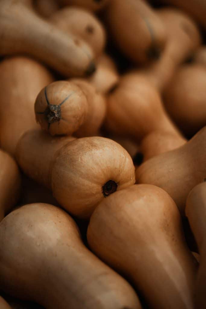 courge